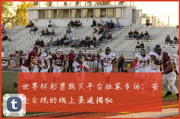 世界杯彩票购买平台独家专访：安全合规的线上渠道揭秘