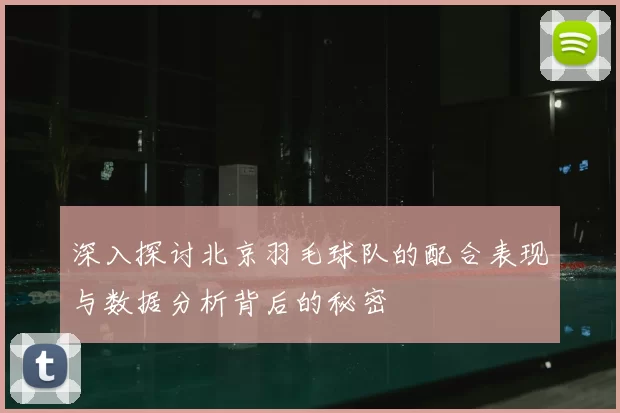 深入探讨北京羽毛球队的配合表现与数据分析背后的秘密