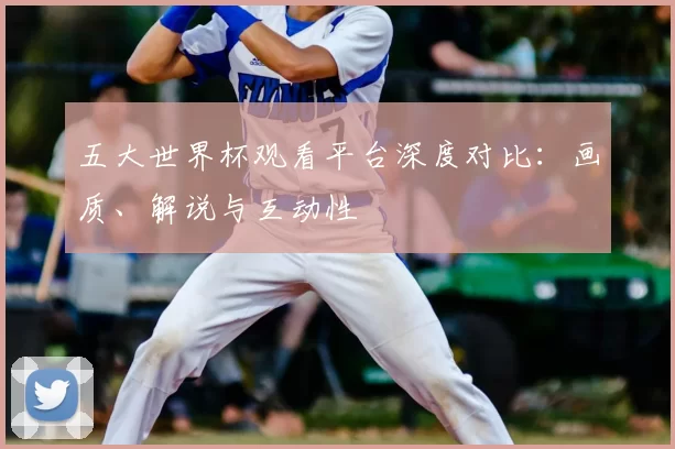 五大世界杯观看平台深度对比:画质、解说与互动性