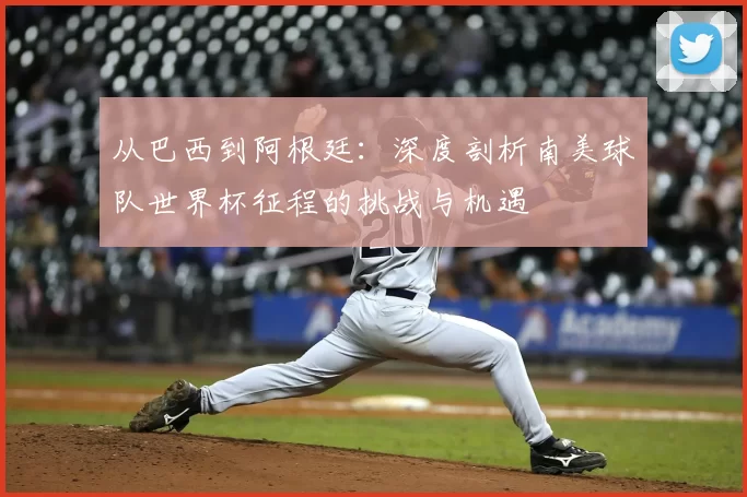 从巴西到阿根廷：深度剖析南美球队世界杯征程的挑战与机遇