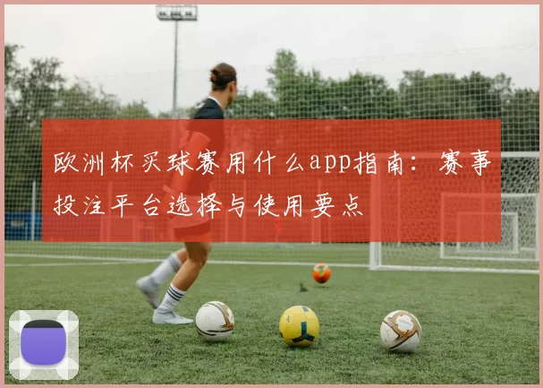 欧洲杯买球赛用什么app指南：赛事投注平台选择与使用要点