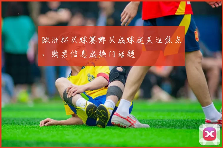 欧洲杯买球赛哪买成球迷关注焦点，购票信息成热门话题