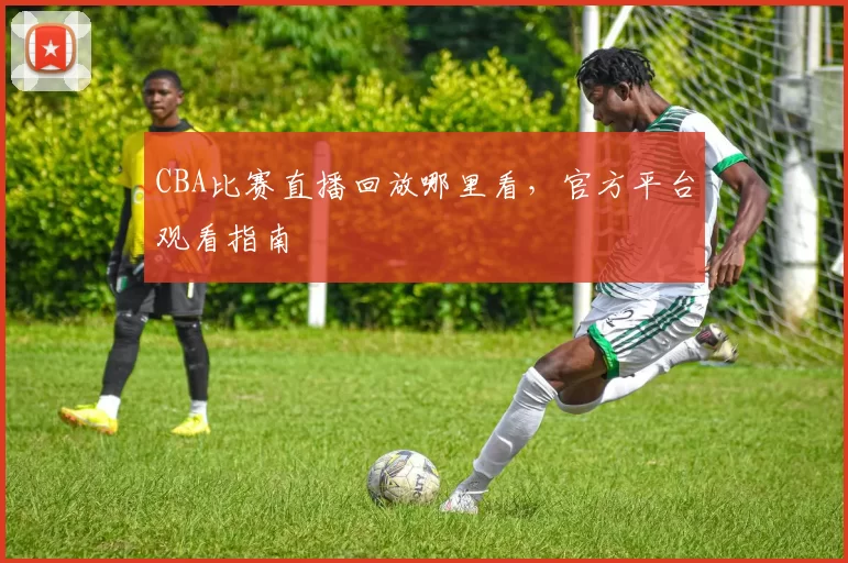 CBA比赛直播回放哪里看，官方平台观看指南