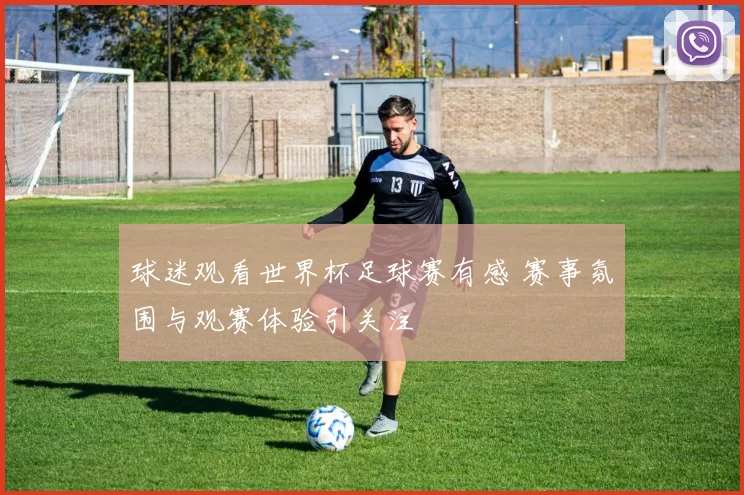 球迷观看世界杯足球赛有感 赛事氛围与观赛体验引关注