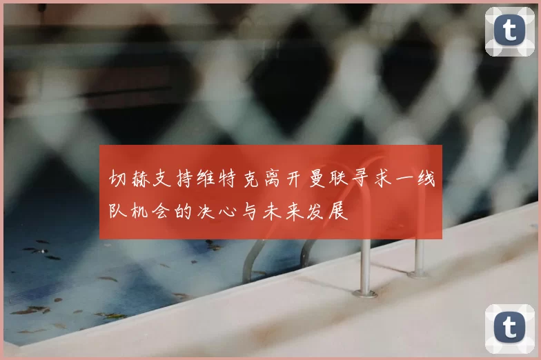 切赫支持维特克离开曼联寻求一线队机会的决心与未来发展