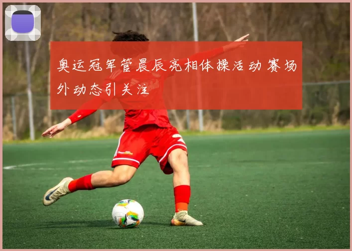 奥运冠军管晨辰亮相体操活动 赛场外动态引关注