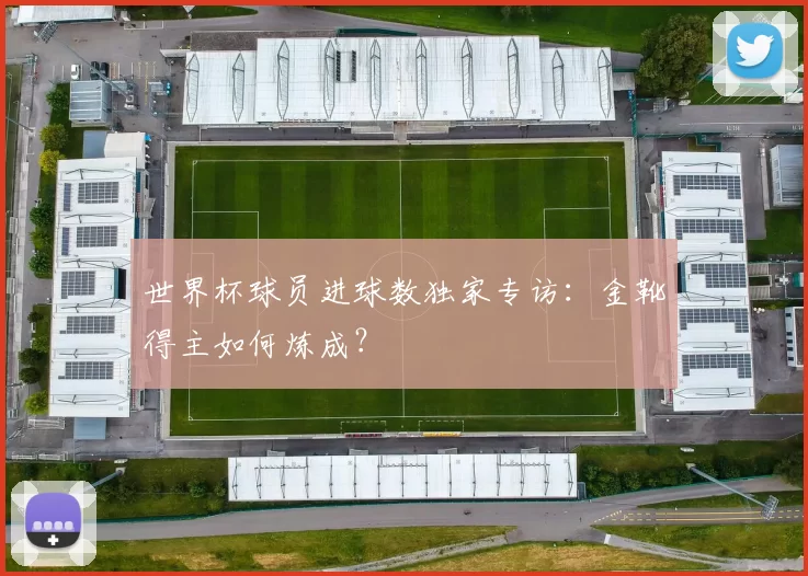 世界杯球员进球数独家专访：金靴得主如何炼成？