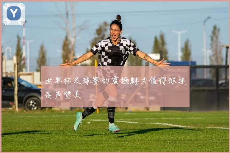 世界杯足球赛的震撼魅力值得球迷高声赞美