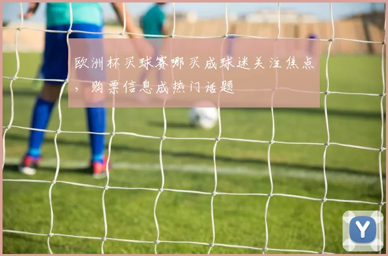 欧洲杯买球赛哪买成球迷关注焦点，购票信息成热门话题