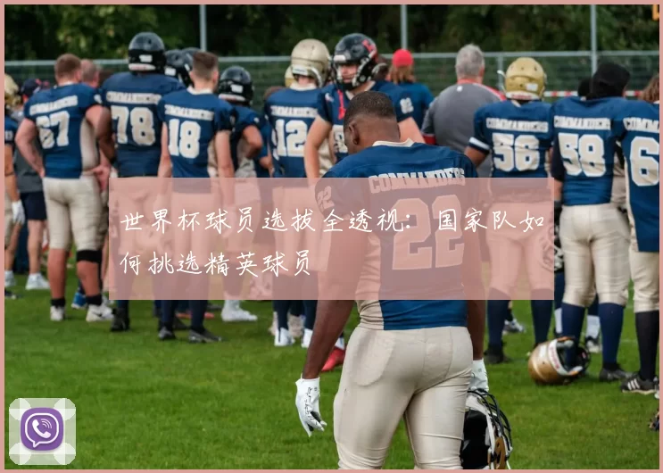 世界杯球员选拔全透视：国家队如何挑选精英球员
